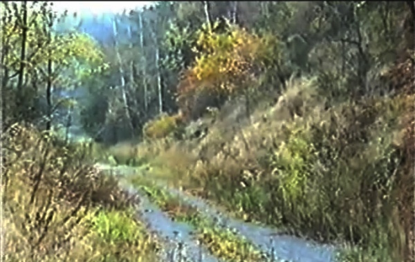 SC_1