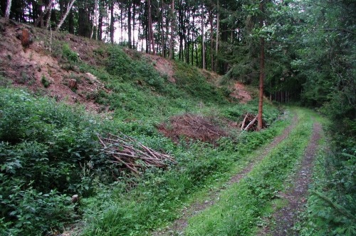 jama