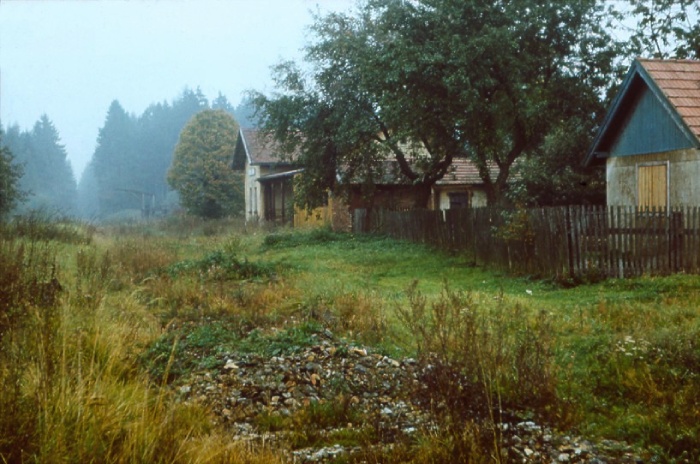 1979_banner