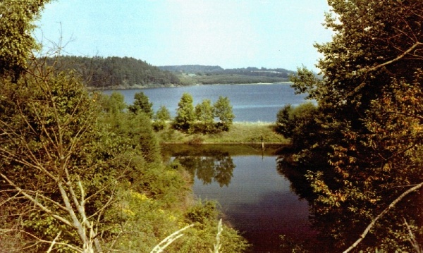 15b