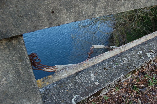 DSC_3315_1