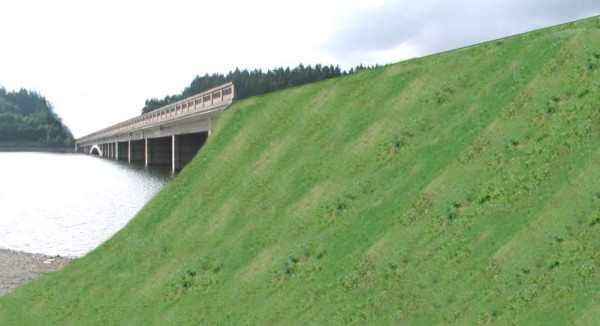 Kopie 05