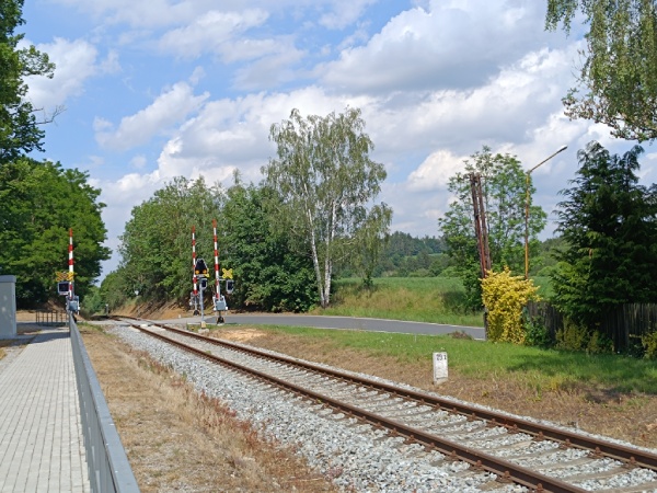 Zd_6
