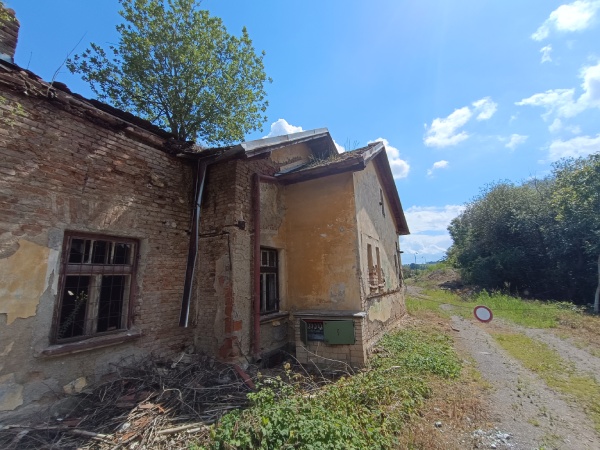 Zd_8
