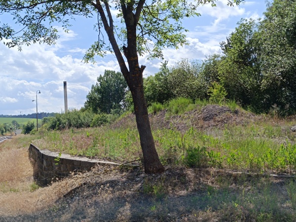 Zd_9