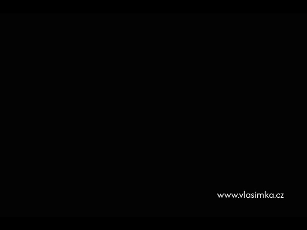 vlasimka_title